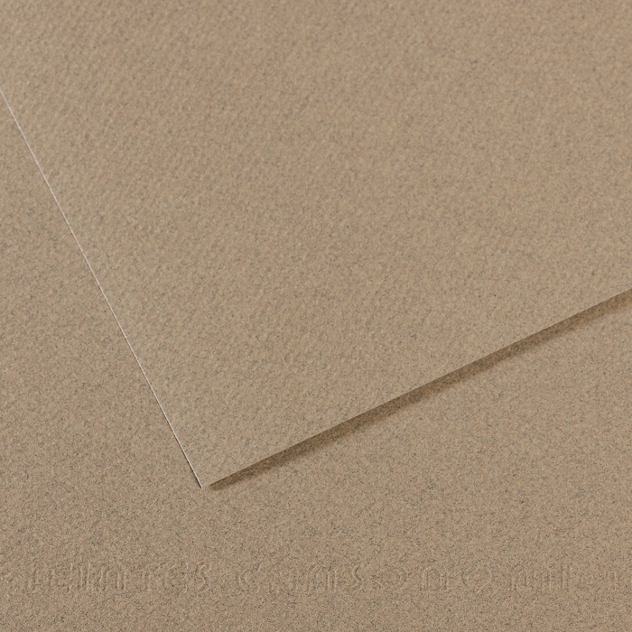 Canson Mi-Teintes Papier 160g/m² DIN A4 429 Rauchgrau