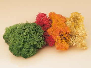 Islandmoos farbig 30g