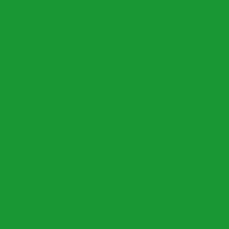 CAMPUS Acrylic Acrylfarbe 817 Hellgrün 500ml